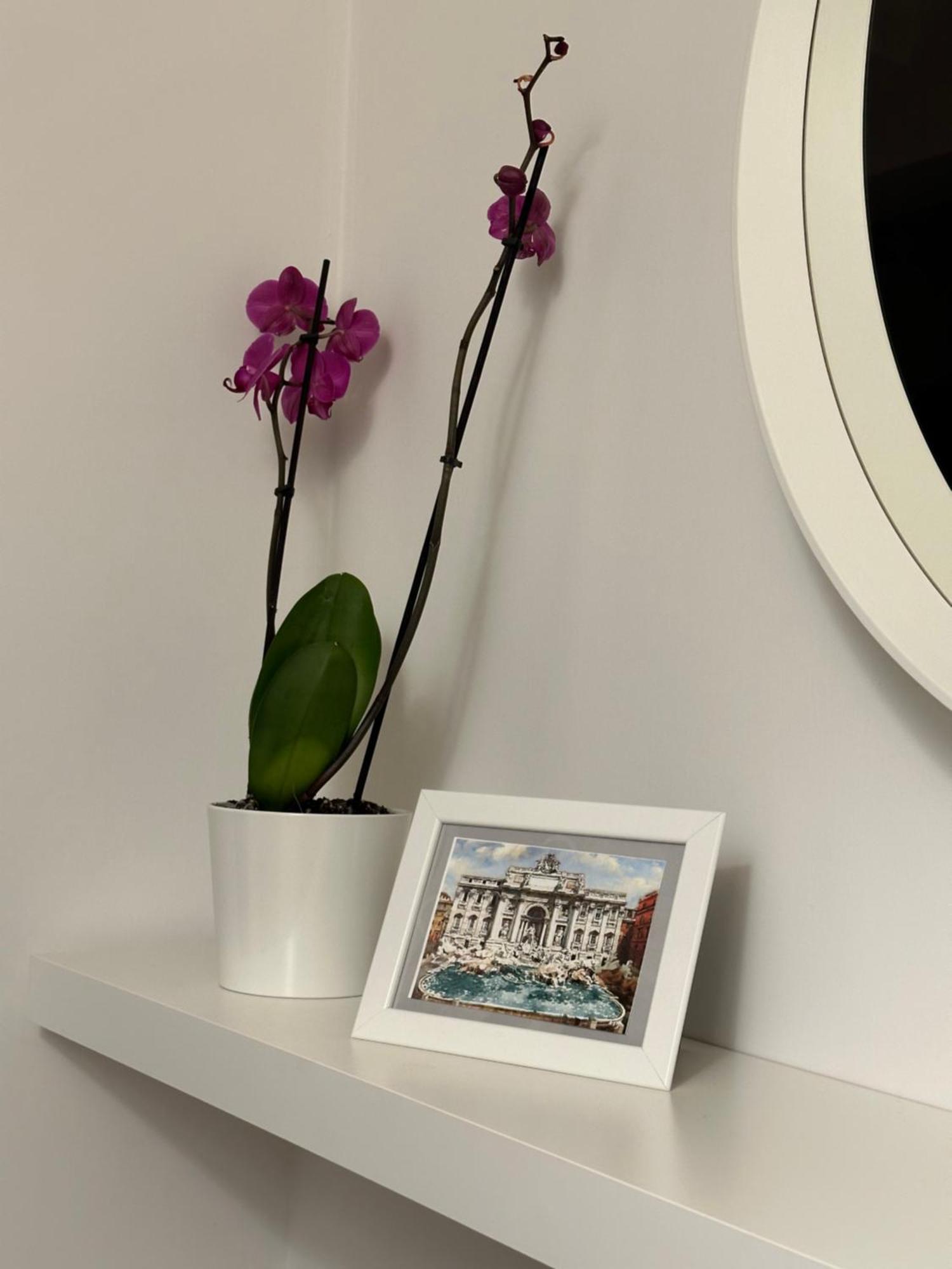Trithome Suite Boutique Barberini Рим Екстериор снимка